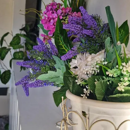 Urbano Burada No52a Апартаменты Констанца