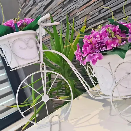 Urbano Burada No52a コンスタンツァ