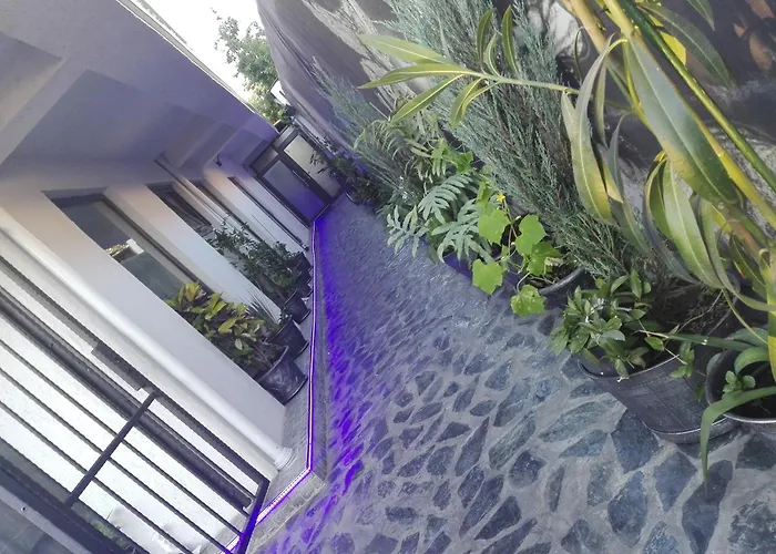 Urbano Burada No52a كونستانتا